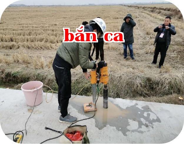 Dự án kiểm tra Giang Lương huyện Nông Xuyên, thành phố Trường Sa, dự án xây dựng đất nông nghiệp tiêu chuẩn cao bằng nguồn vốn tích hợp năm 2017