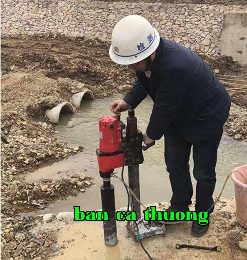 Dự án cải tạo và nâng cấp đê ngăn lũ khu vực Bố Dương tỉnh Giang Tây, đê Đại Đài của quận Cái Tàng, khu vực Giang Tân, dự án cải tạo và nâng cấp đê ngăn lũ