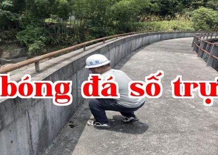 Dự án đánh giá an toàn và kiểm tra chất lượng nhà máy thủy điện Sơn Khê, huyện Lạc An