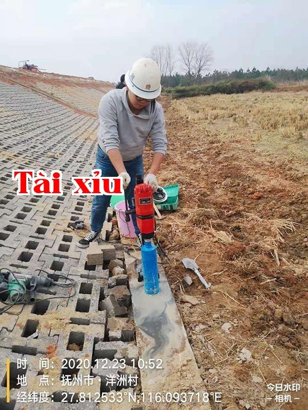 Dự án cải tạo, gia cố đê biển 1 vạn mẫu tại xã Sa Đới, huyện Từ Nhân