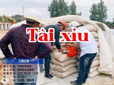 Dự án phòng chống lũ cho trung tâm thành phố huyện Nam Phong