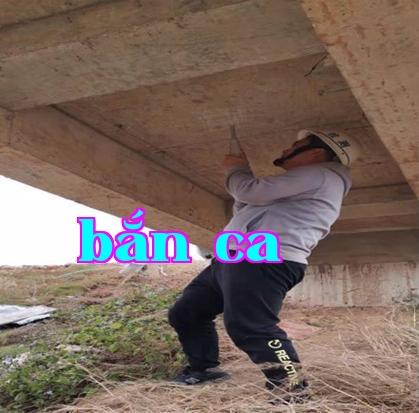 Dự án cải tạo, gia cố đê điều Liên Ô Hoàng Trường của huyện An Nghĩa