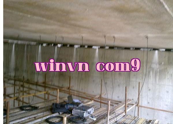 Nội dung chính của kiểm định cầu là gì?