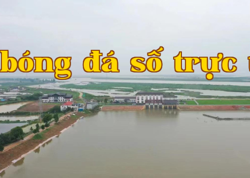 Dự án nâng cao khả năng thoát nước tại các khu vực dễ ngập lụt trọng điểm của quận Tân Kiến, dự án quản lý tổng thể khu vực Lũ Tây Liên Vi, công trình trạm bơm lớn Đệ Hà theo hình thức EPC