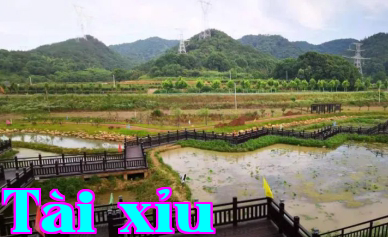 Dự án Thí điểm Kết nối Hệ thống nước và Cải thiện Hệ thống nước nông thôn, Dự án Xây dựng Tổng thầu Thiết kế - Mua sắm - Xây dựng (EPC) tại huyện