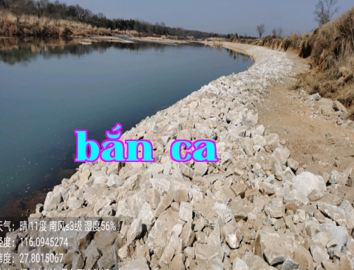 Dự án Tổng thầu EPC (Thiết kế - Mua sắm - Xây dựng) cho Đoạn đê Thạch Đài, khu vực vựa lúa vạn mẫu ở huyện Từ Nhân